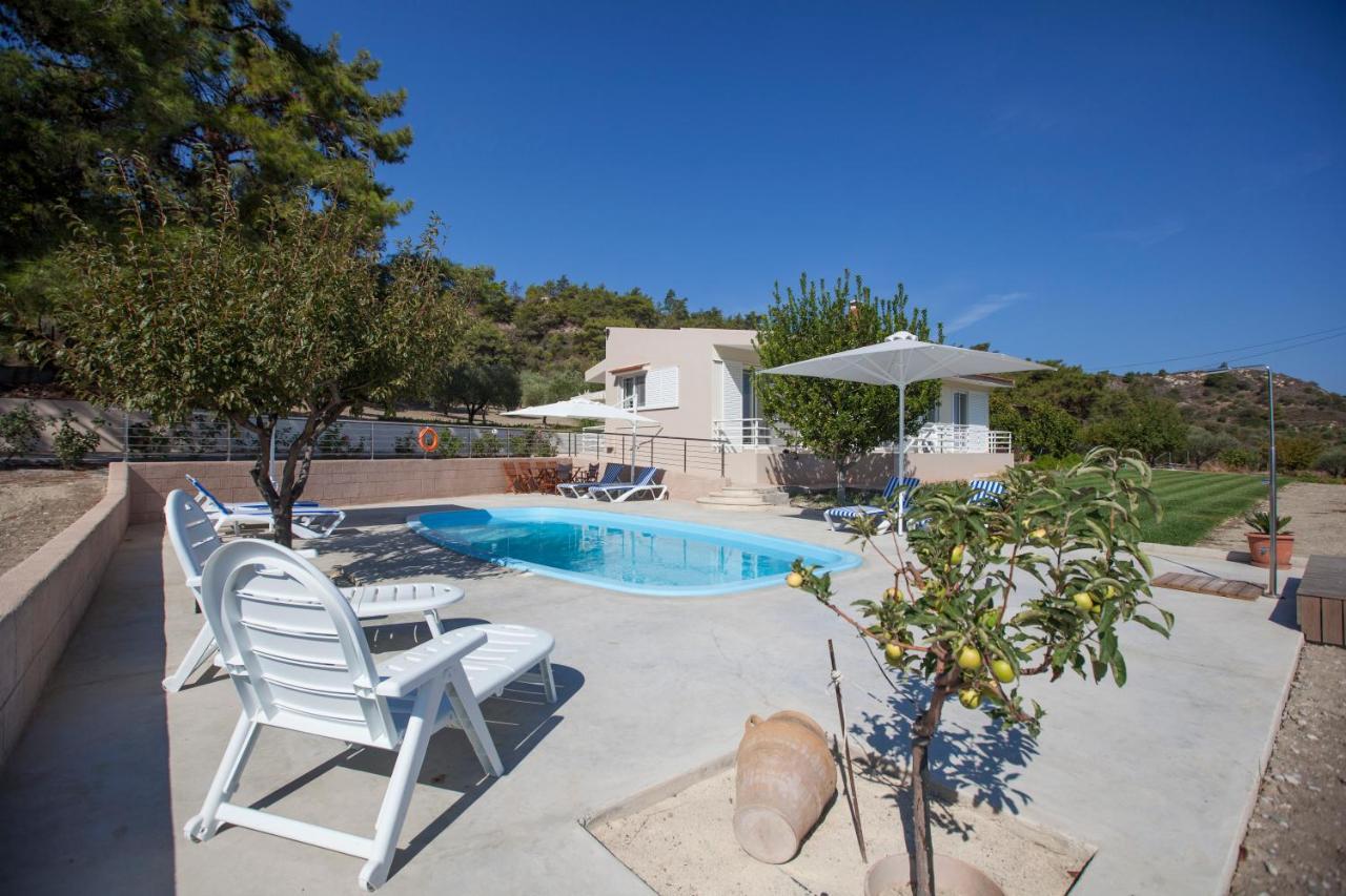 The Olive Grove Villa Private Pool With Star Links Wifi Theológos