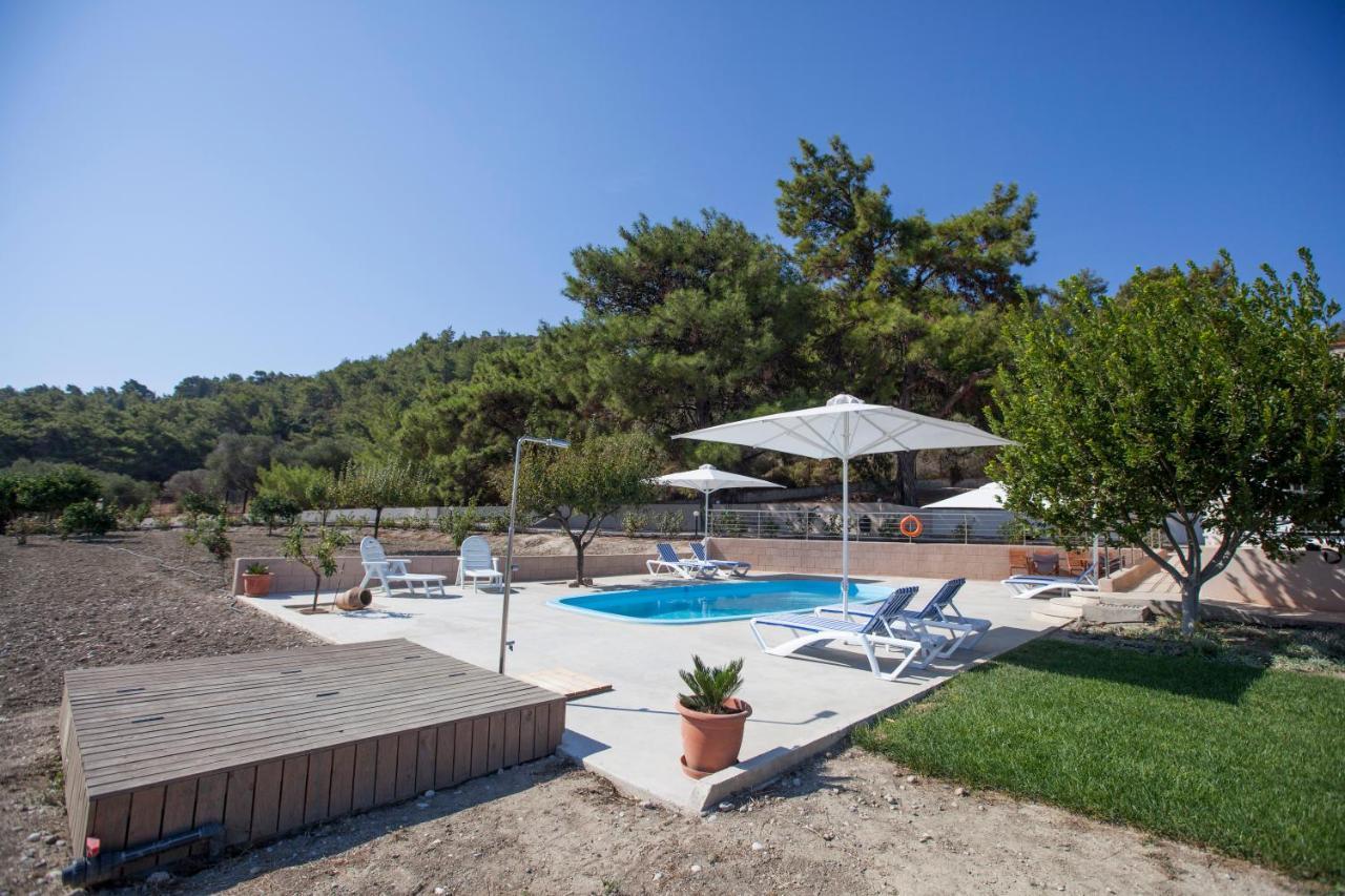 别墅 The Olive Grove Private Pool With Star Links Wifi Theológos